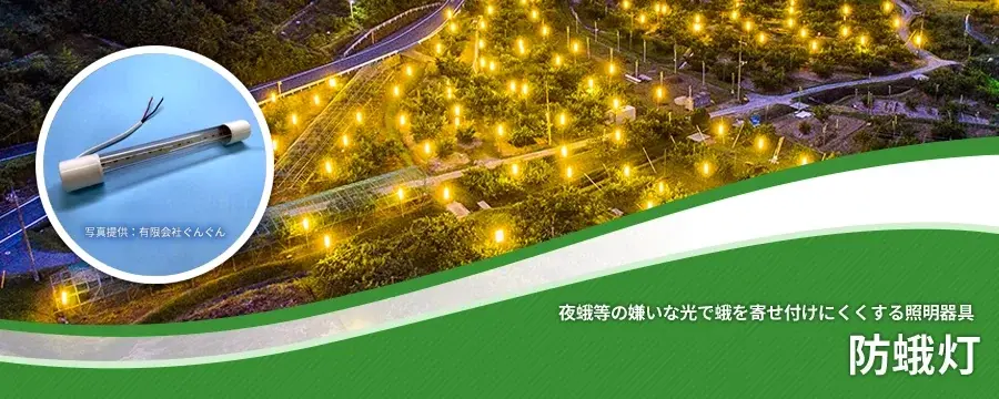 黄色灯の活用
